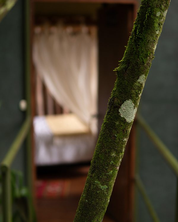 Glamping Espadero
